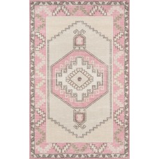 Union Rustic Moyer Indoor Pink Area Rug UNRS5332